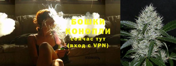 амф Бронницы