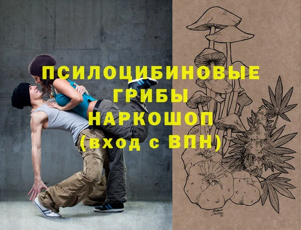 спайс Богородск