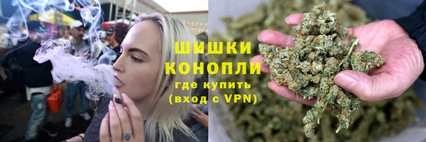 амф Бронницы